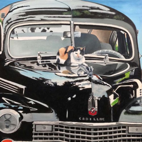 'Kat op Cadillac', olieverf, 60x60 cm