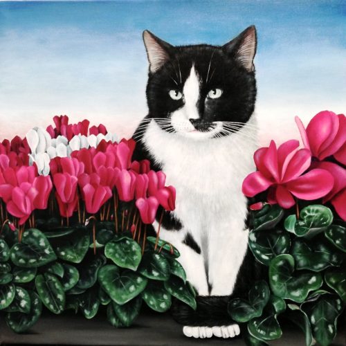 'Poes tussen cyclamen', olieverf, 60x60 cm