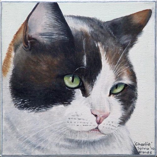 'Charlie', olieverf, 20x20 cm