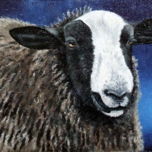 'Bruin schaap', olieverf, 18x27 cm